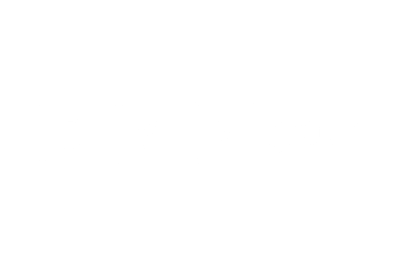 DVM Group